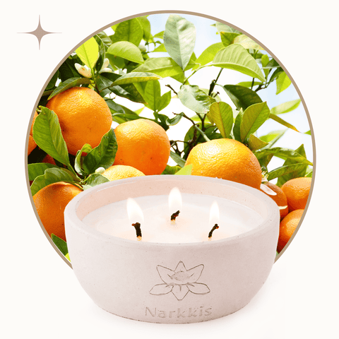 שלושה פתילים - CITRUS BREEZE